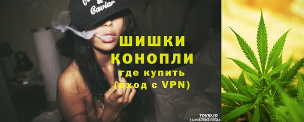 сатива Балабаново