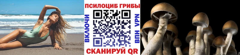 Галлюциногенные грибы мицелий  Купить где  Череповец 